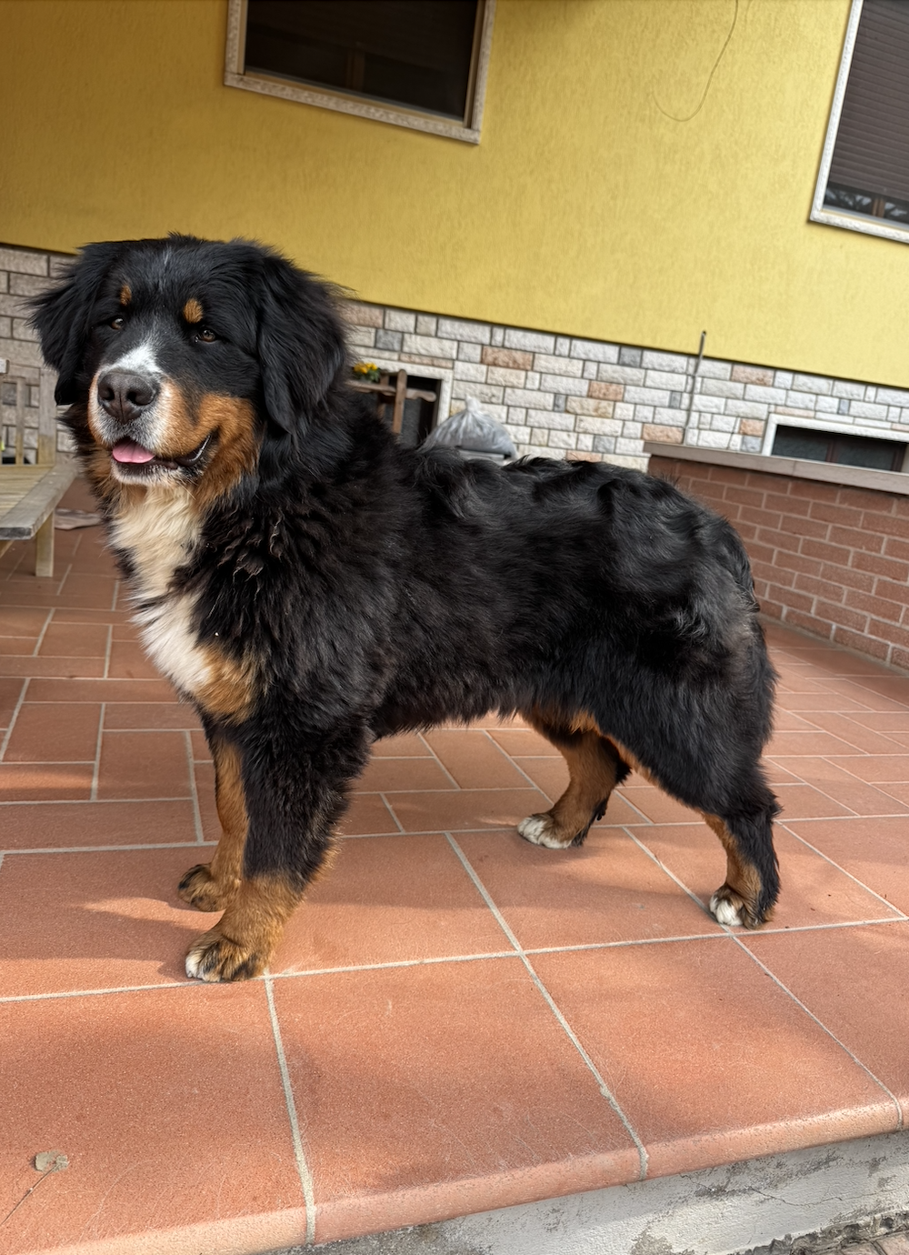 Tula Soulbern (Gilda)