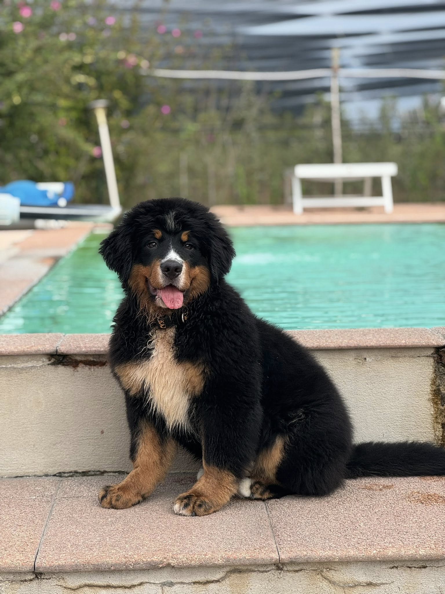 Tula Soulbern (Gilda)