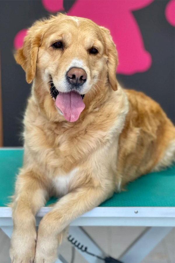 Betty (Nevada)