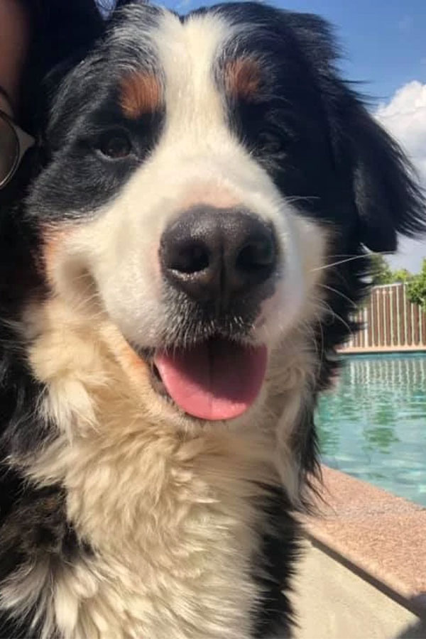 Abigail (Alaska)